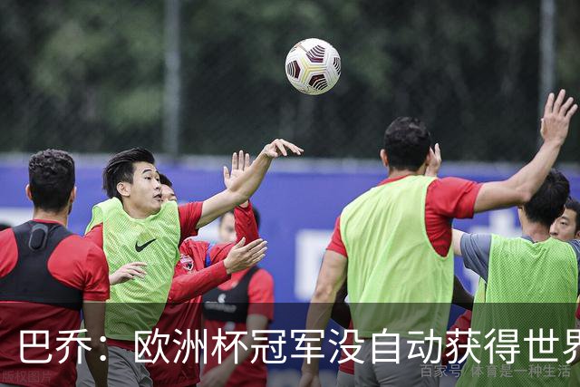巴乔：欧洲杯冠军没自动获得世界杯资格 这是耻辱